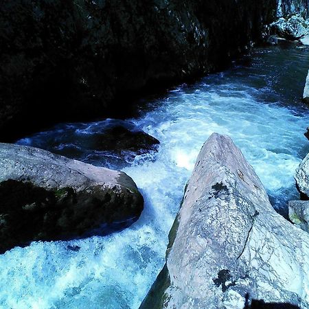Odmaraliste Vlasko Zdrelo Pirot Camera foto