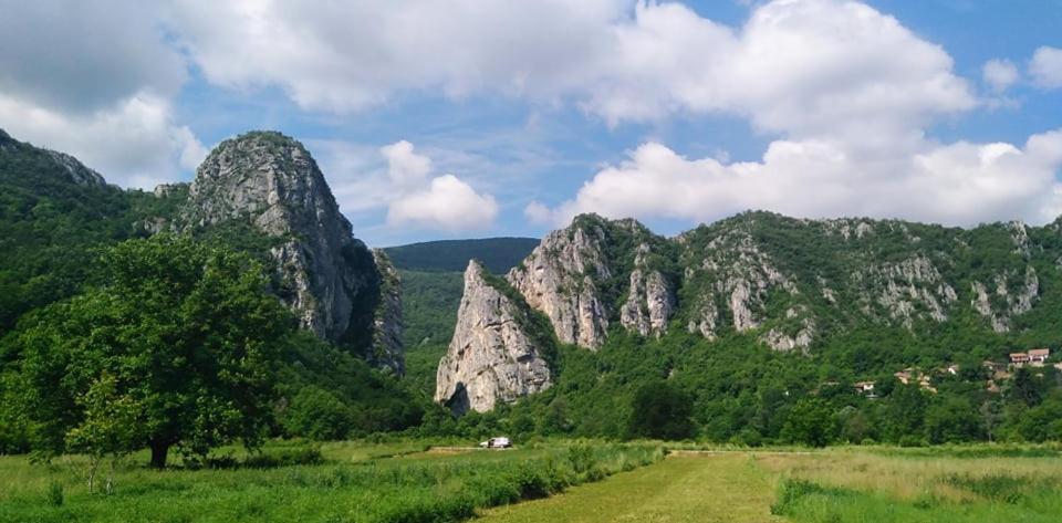 Odmaraliste Vlasko Zdrelo Pirot Esterno foto