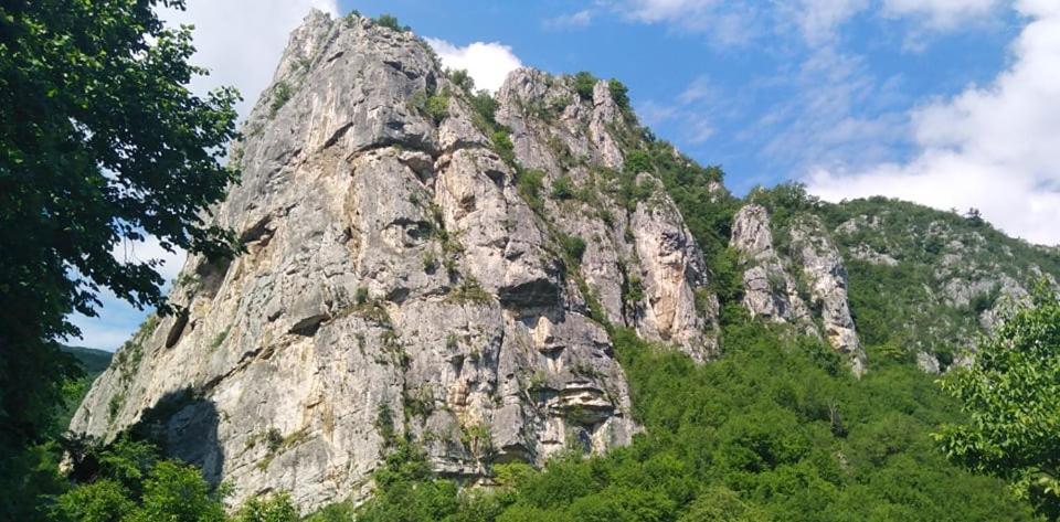 Odmaraliste Vlasko Zdrelo Pirot Esterno foto