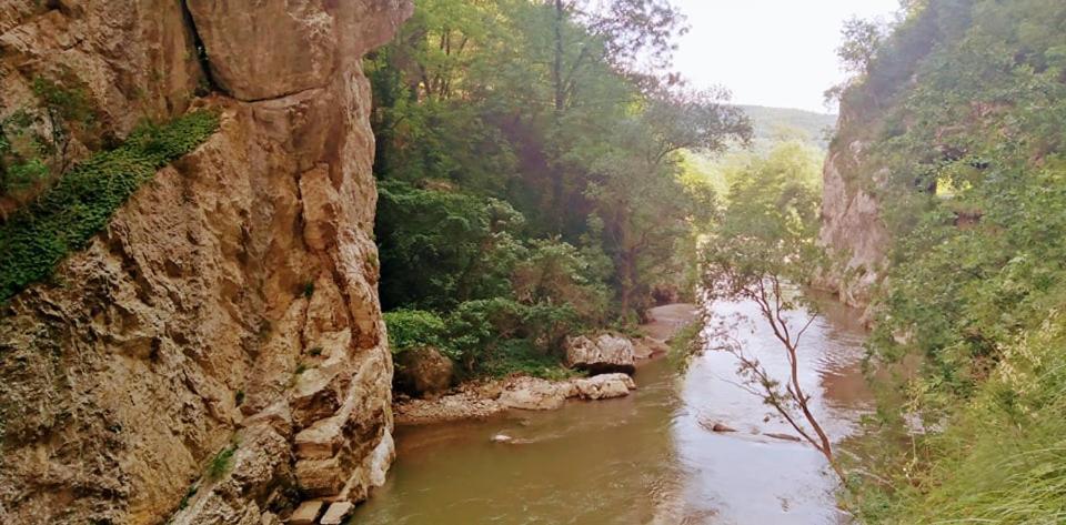 Odmaraliste Vlasko Zdrelo Pirot Esterno foto