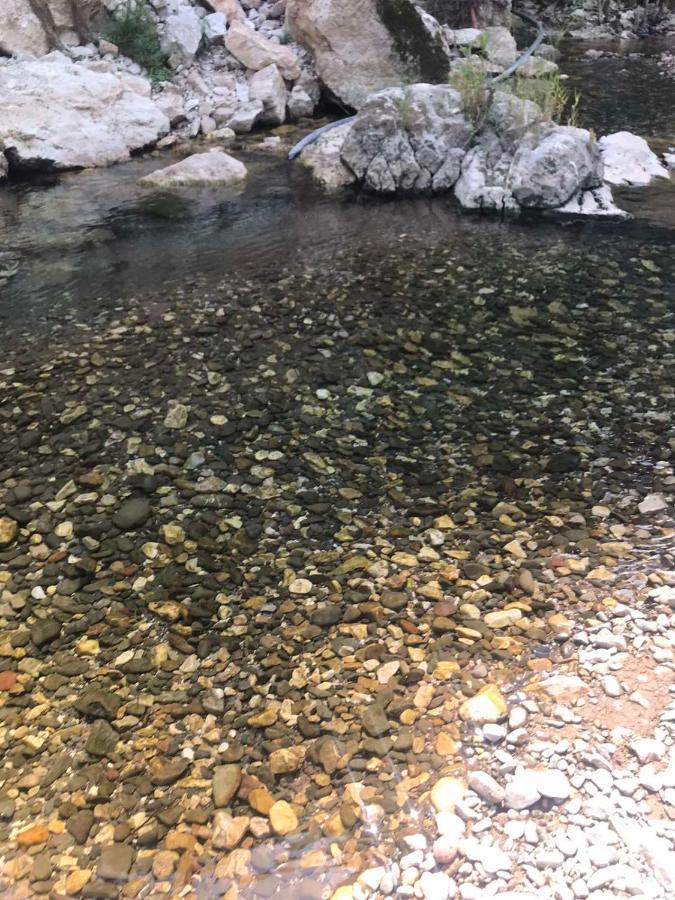 Odmaraliste Vlasko Zdrelo Pirot Esterno foto