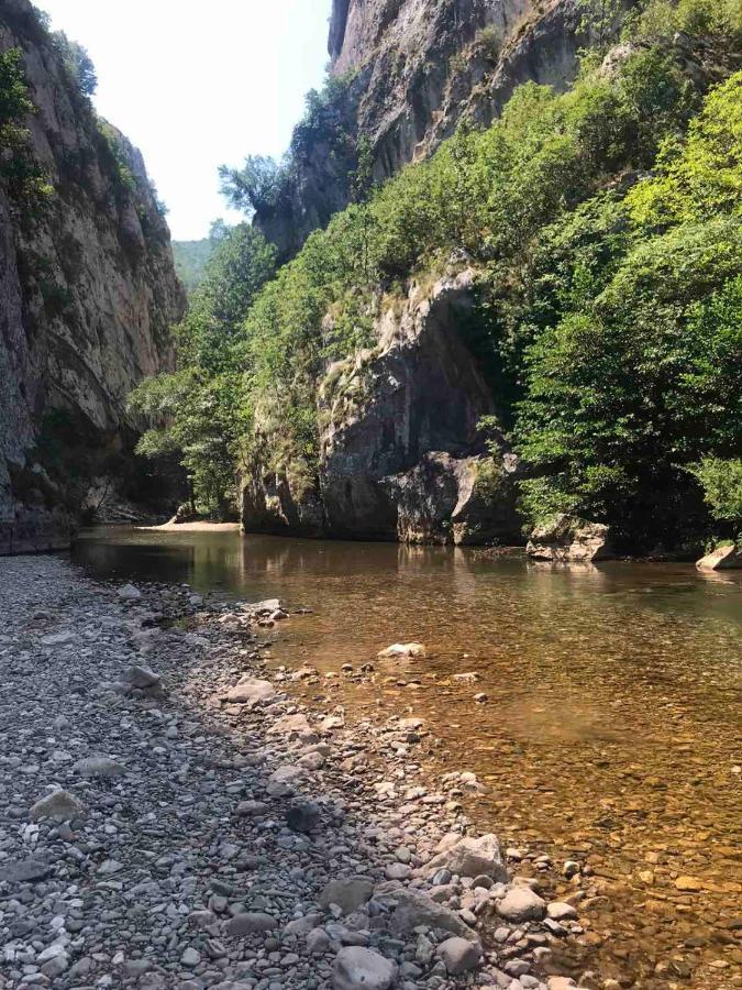 Odmaraliste Vlasko Zdrelo Pirot Esterno foto